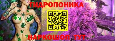 ALPHA PVP Пушкино