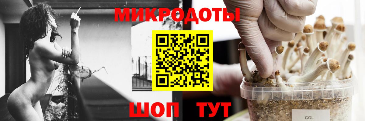 Советская Гавань  Псилоцибиновые грибы GOLDEN TEACHER  цены   Вход с VPN 